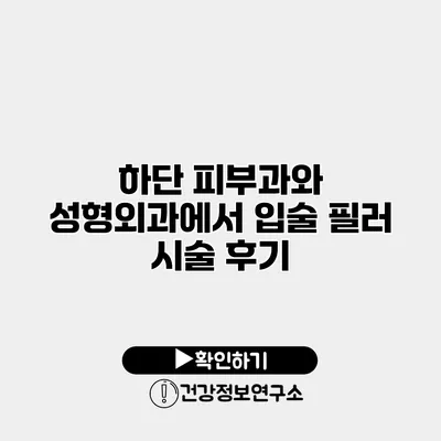 하단 피부과와 성형외과에서 입술 필러 시술 후기
