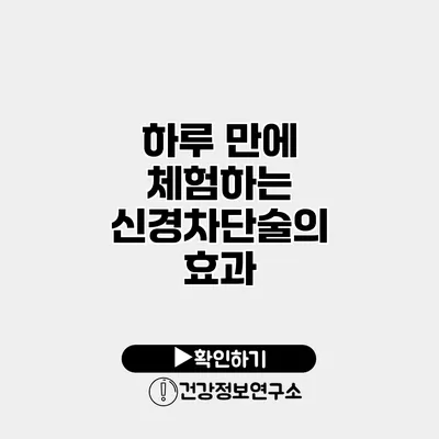 하루 만에 체험하는 신경차단술의 효과