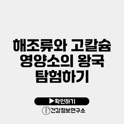 해조류와 고칼슘 영양소의 왕국 탐험하기