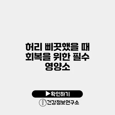 허리 삐끗했을 때 회복을 위한 필수 영양소
