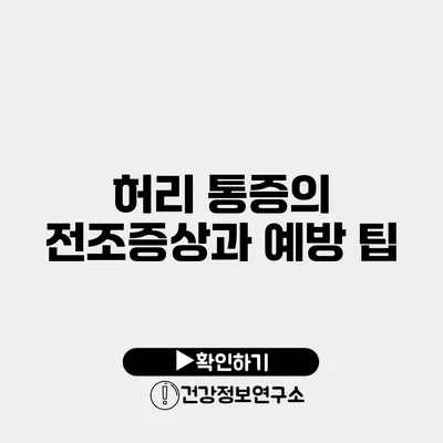 허리 통증의 전조증상과 예방 팁