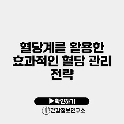 혈당계를 활용한 효과적인 혈당 관리 전략