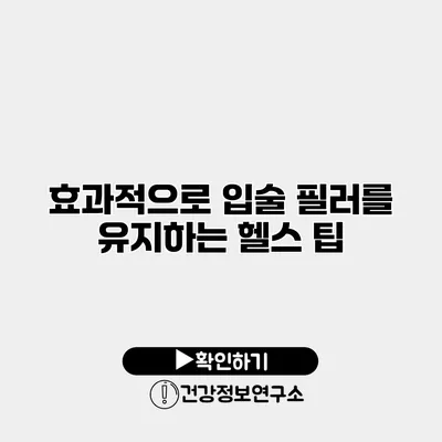 효과적으로 입술 필러를 유지하는 헬스 팁