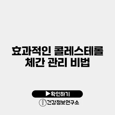 효과적인 콜레스테롤 체간 관리 비법