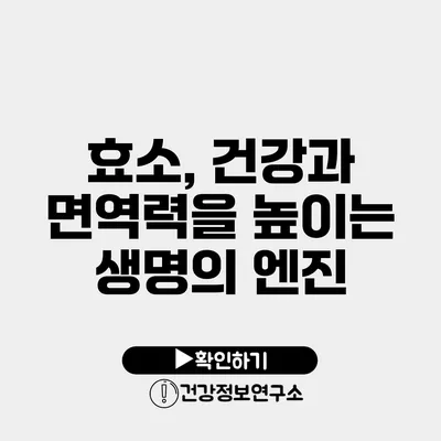 효소, 건강과 면역력을 높이는 생명의 엔진