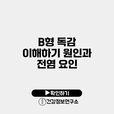 B형 독감 이해하기 원인과 전염 요인