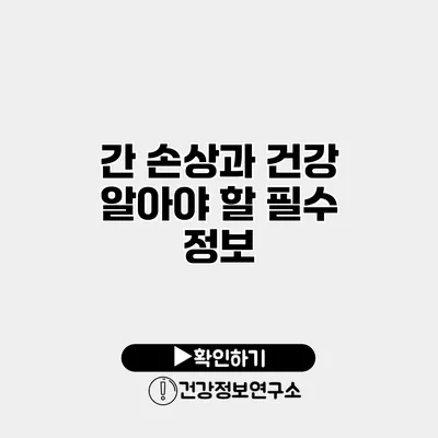 간 손상과 건강 알아야 할 필수 정보