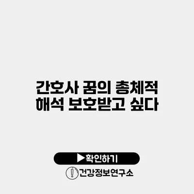 간호사 꿈의 총체적 해석 보호받고 싶다