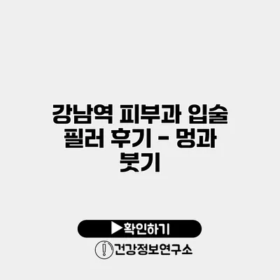 강남역 피부과 입술 필러 후기 - 멍과 붓기