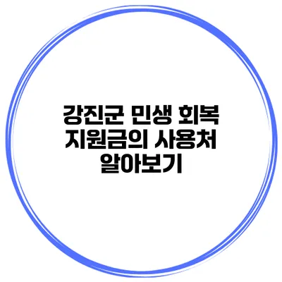 강진군 민생 회복 지원금의 사용처 알아보기