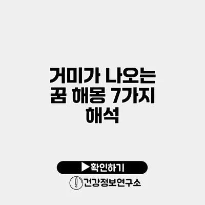 거미가 나오는 꿈 해몽 7가지 해석