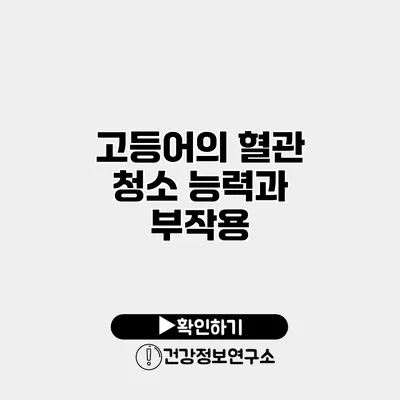 고등어의 혈관 청소 능력과 부작용