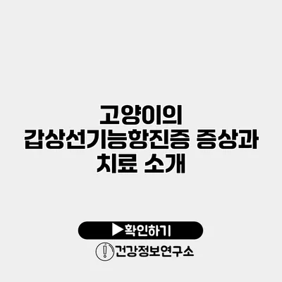 고양이의 갑상선기능항진증 증상과 치료 소개