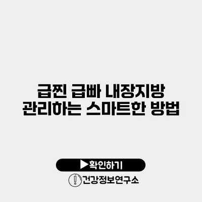급찐 급빠 내장지방 관리하는 스마트한 방법