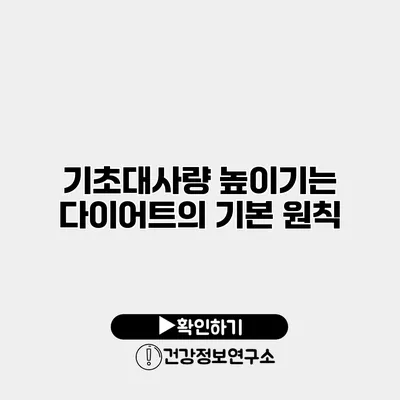 기초대사량 높이기는 다이어트의 기본 원칙