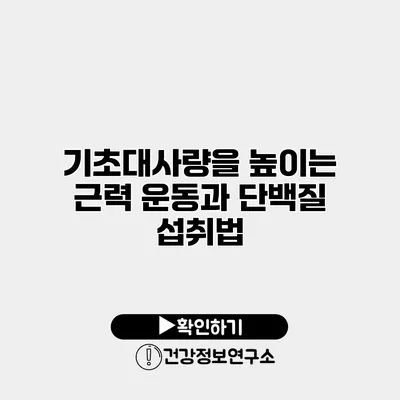 기초대사량을 높이는 근력 운동과 단백질 섭취법