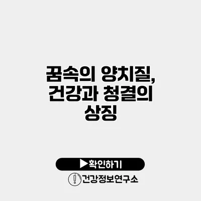 꿈속의 양치질, 건강과 청결의 상징?