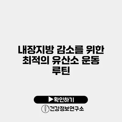 내장지방 감소를 위한 최적의 유산소 운동 루틴