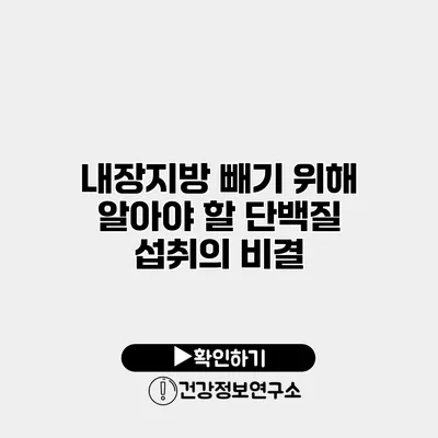 내장지방 빼기 위해 알아야 할 단백질 섭취의 비결