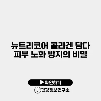 뉴트리코어 콜라겐 담다 피부 노화 방지의 비밀