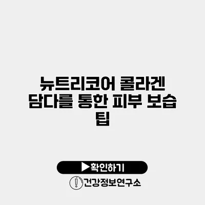 뉴트리코어 콜라겐 담다를 통한 피부 보습 팁