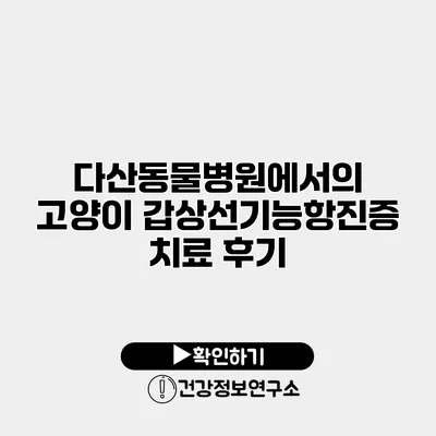 다산동물병원에서의 고양이 갑상선기능항진증 치료 후기