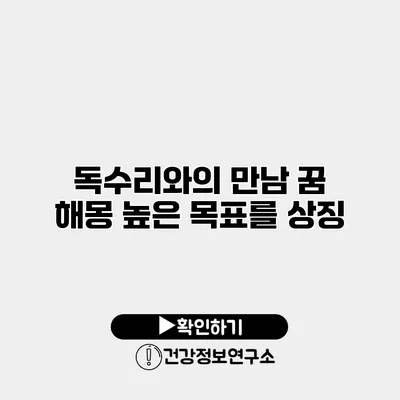 독수리와의 만남 꿈 해몽 높은 목표를 상징