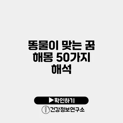 똥물이 맞는 꿈 해몽 50가지 해석