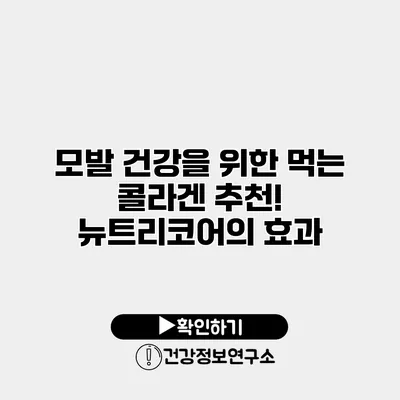 모발 건강을 위한 먹는 콜라겐 추천! 뉴트리코어의 효과