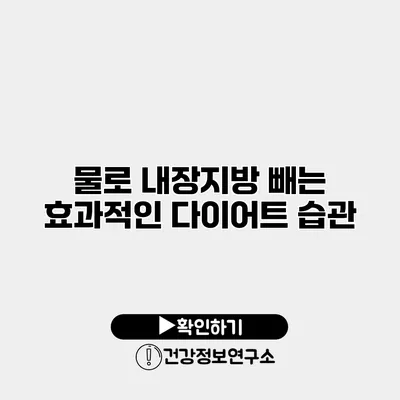 물로 내장지방 빼는 효과적인 다이어트 습관