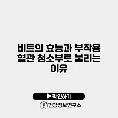 비트의 효능과 부작용 혈관 청소부로 불리는 이유