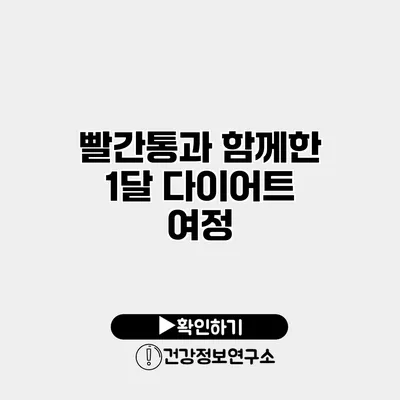 빨간통과 함께한 1달 다이어트 여정