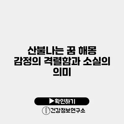 산불나는 꿈 해몽 감정의 격렬함과 소실의 의미