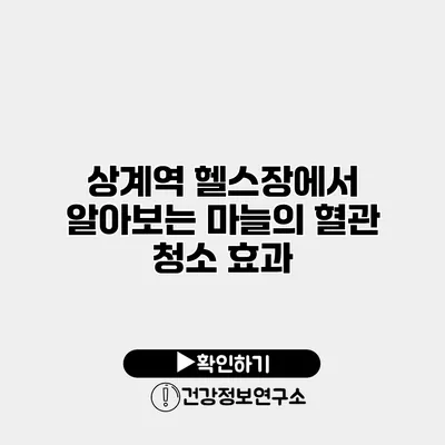 상계역 헬스장에서 알아보는 마늘의 혈관 청소 효과
