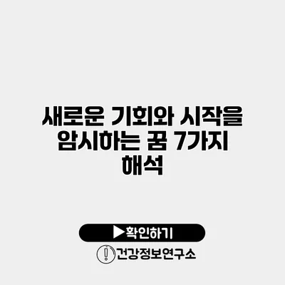 새로운 기회와 시작을 암시하는 꿈 7가지 해석