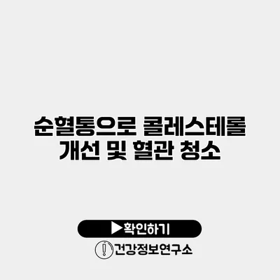 순혈통으로 콜레스테롤 개선 및 혈관 청소