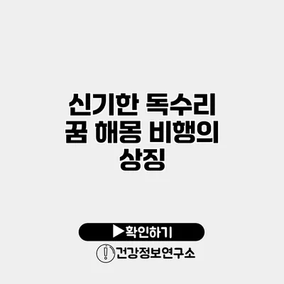 신기한 독수리 꿈 해몽 비행의 상징