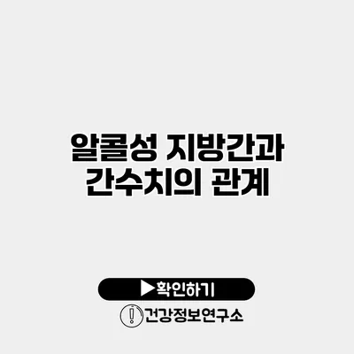 알콜성 지방간과 간수치의 관계