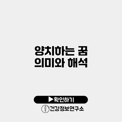 양치하는 꿈 의미와 해석