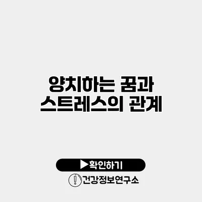양치하는 꿈과 스트레스의 관계