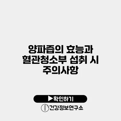 양파즙의 효능과 혈관청소부 섭취 시 주의사항
