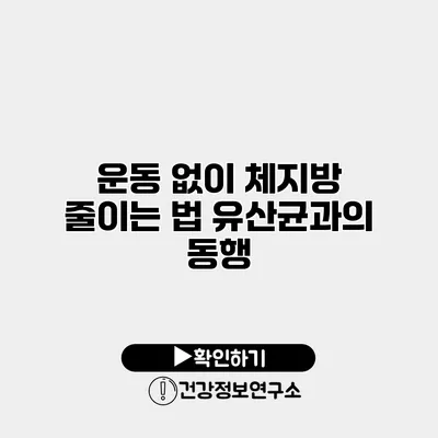운동 없이 체지방 줄이는 법 유산균과의 동행
