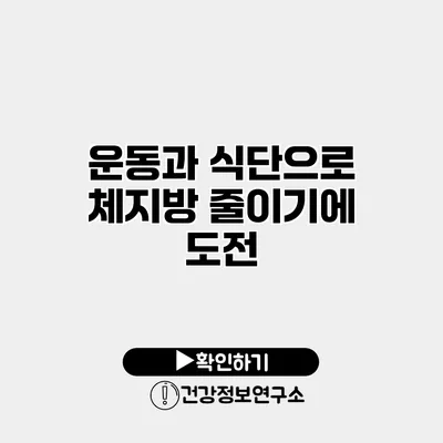 운동과 식단으로 체지방 줄이기에 도전