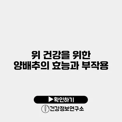 위 건강을 위한 양배추의 효능과 부작용