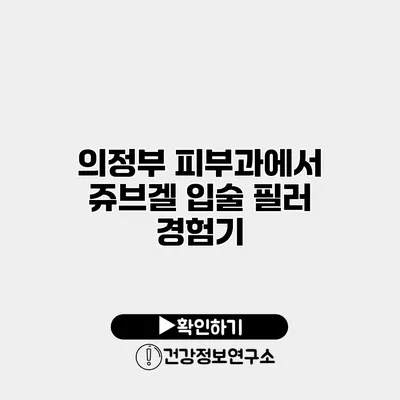 의정부 피부과에서 쥬브겔 입술 필러 경험기