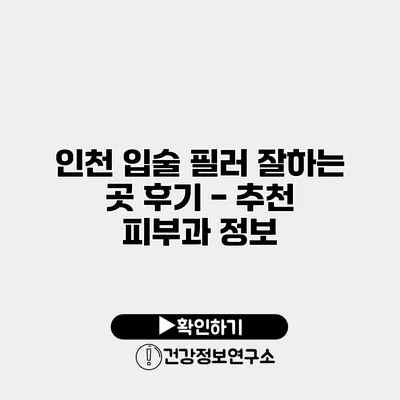 인천 입술 필러 잘하는 곳 후기 - 추천 피부과 정보