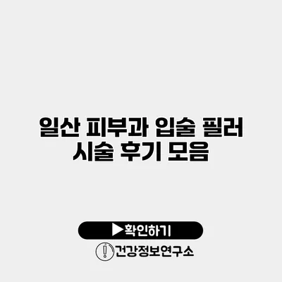 일산 피부과 입술 필러 시술 후기 모음