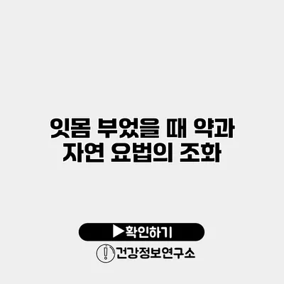 잇몸 부었을 때 약과 자연 요법의 조화