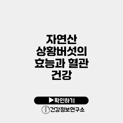 자연산 상황버섯의 효능과 혈관 건강
