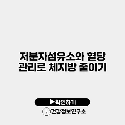 저분자섬유소와 혈당 관리로 체지방 줄이기
